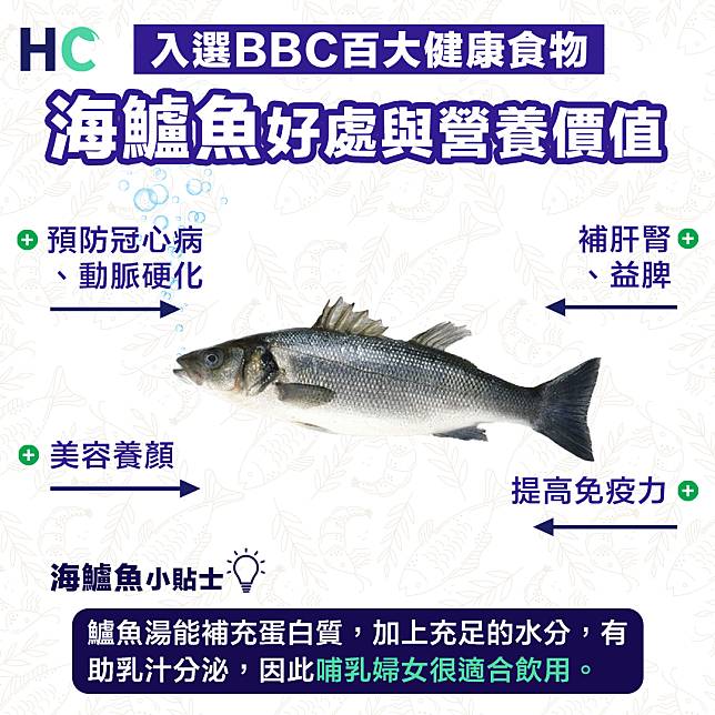 【營養食物】海鱸魚好處與營養價值