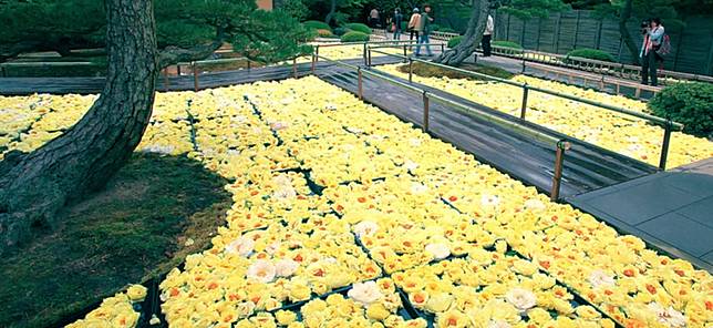 
<p>圖片截自 <a href=