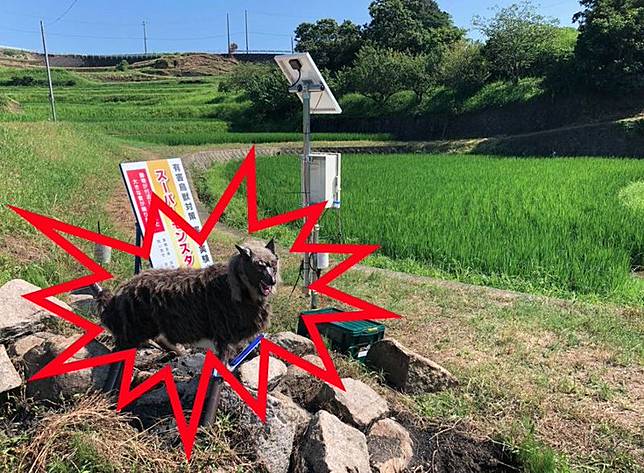 「怪獸狼」仿生驅趕機器人，因其強大的嚇阻效果，今年訂單量竟暴增至往年的3倍以上。（翻攝自太田精器）