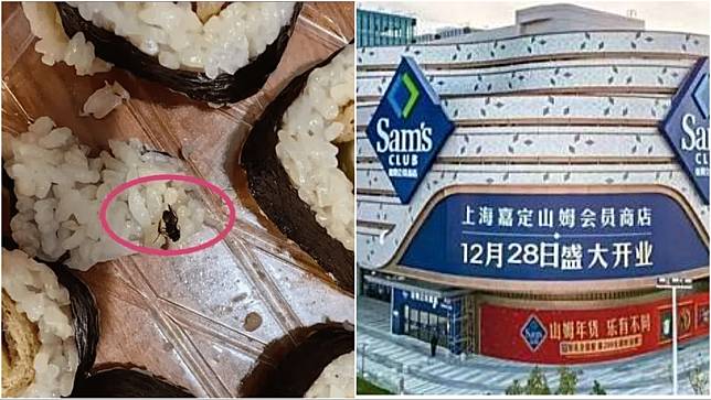 上海山姆壽司發現昆蟲，客服回應指，不是烏蠅是蜜蜂