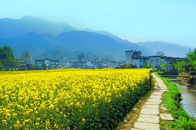 2023金旅獎優旅選／金鳳凰質感保證  江南、江西、東澳、埃及、日本七遊程獲青睞