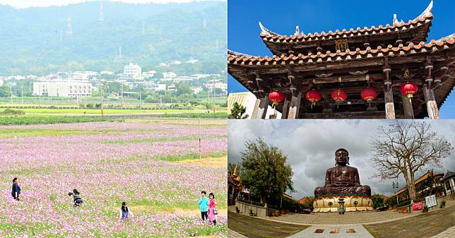 春遊賞花來彰化！2022「花在彰化」大年初一登場，「七大專區」有12公頃大波斯菊花海正盛開！