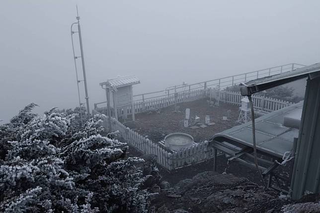 南投縣玉山今天出現結霜和霧淞現象，將山中植被染成一片雪白。（氣象署提供）