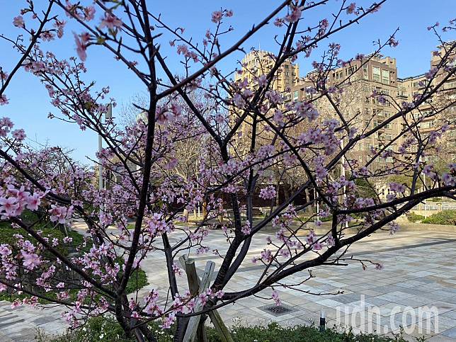 新竹公園去年以228萬人次奪下新竹熱門景點寶座，近年來已成為新竹人和遊客休憩熱門景點。記者王駿杰／攝影