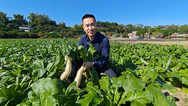 芬園拔蘿蔔活動開跑！2公頃農地超過5萬根蘿蔔等你來拔