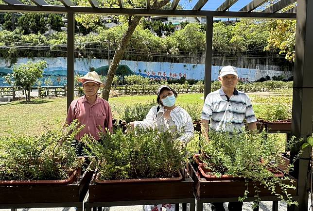 新北市府汐止區農會打造綠色照顧園區啟用，園區打造高度一百公分的不彎腰菜園讓長者可輕鬆從事農作栽培。（記者吳瀛洲攝）