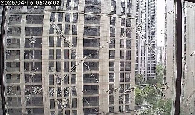 網友「財源滾滾哈基米」遭到烏鶇報復，每天定時在他家窗戶噴糞。圖／翻攝瀟湘晨報