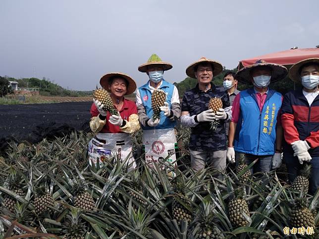 韓國瑜(左二)行銷大樹鳳梨，並請媒體試吃，媒體卻紛紛走避。(記者洪定宏攝)
