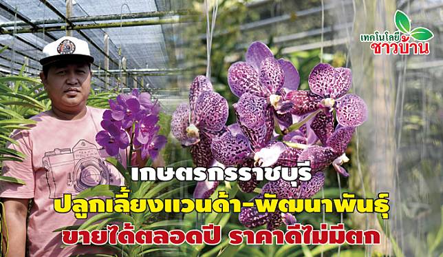 แวนด้า 16กพ