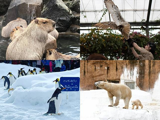 日本動物園首圖