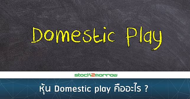 หุ้น Domestic play คืออะไร ? 