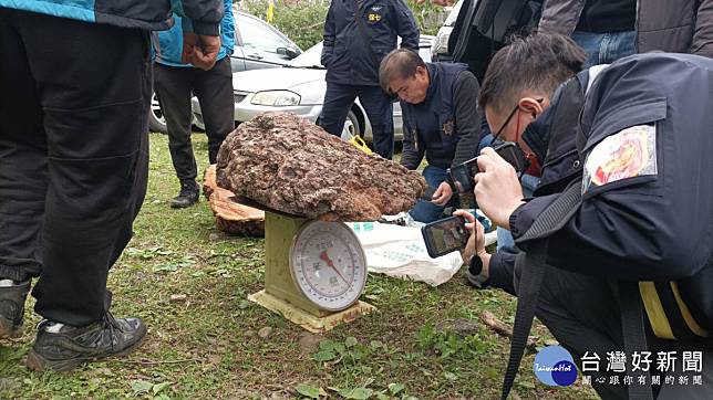 新竹林管處會同內政部警政署保安警第七總隊第五大隊對扣案木進行測量(新竹林管處提供)。