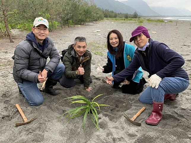 花蓮林管處與台灣山林復育協會、富邦文教基金會及黑潮文教基金會，於七星潭防風保安林舉辦「花蓮低地原生植群復育行動」。（花蓮林管處提供）