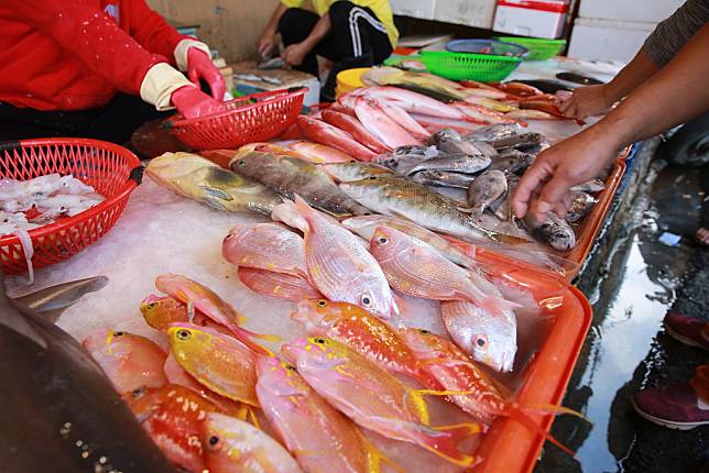 綠色和平與何宣慶過去一年調查漁市場40種常見魚種。圖為屏東東港漁市。圖片來源︰綠色和平提供