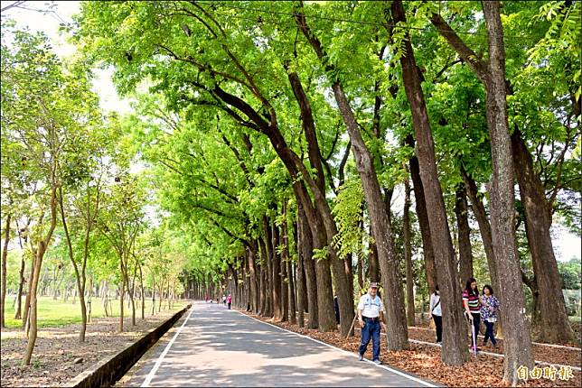 六龜新威森林公園遊客承載量僅225人，昨天多次發出已達上限的細胞警訊。(記者許麗娟攝)