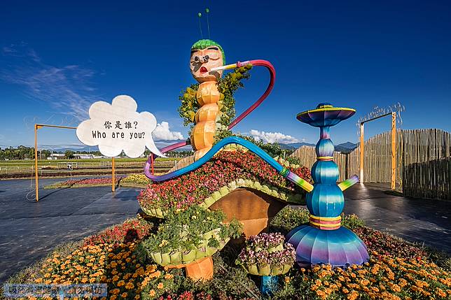 ▲「提問智蟲」智蟲優雅坐在香菇上的不斷提問，「你是誰?為什麼?」(圖/臺中市政府觀光旅遊局)