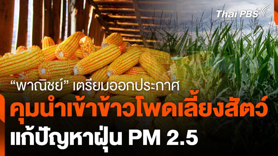 พาณิชย์ เตรียมออกประกาศควบคุมนำเข้าข้าวโพด แก้ฝุ่น PM 2.5 | Thai PBS | LINE TODAY