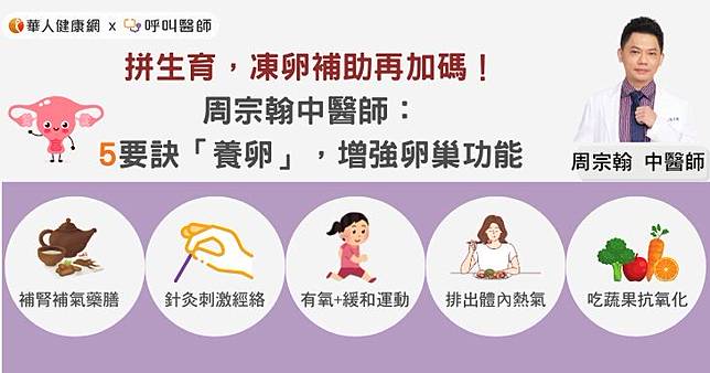 拼生育，凍卵補助再加碼！周宗翰中醫師：5要訣「養卵」，增強卵巢功能