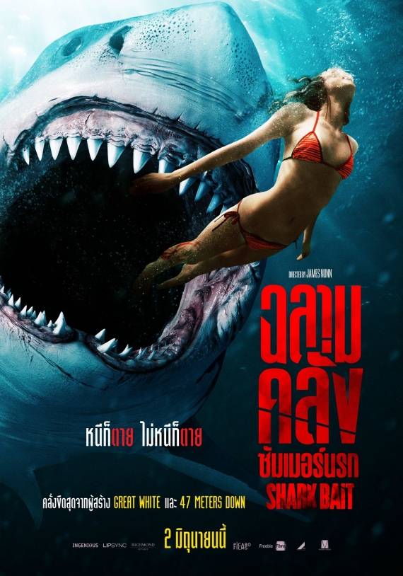 ท้าความตายทุกวินาที “Shark Bait ฉลามคลั่งซัมเมอร์นรก” 2 มิถุนายน ในโรงภาพยนตร์