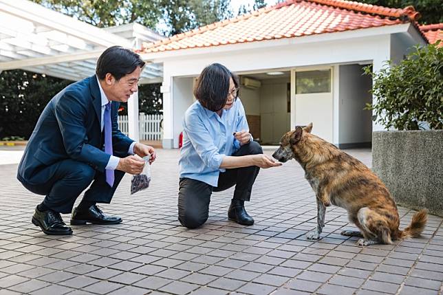 總統賴清德認養的兩隻流浪犬斑斑、Murphy已入住總統官邸，圖為前總統蔡英文特地準備自製牛肉乾、餵食器、玩具球等多項禮物送給牠們。（總統府提供）