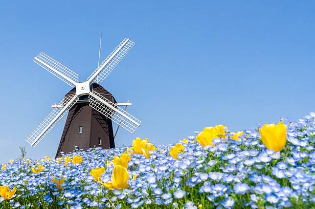 Source：Shutterstock