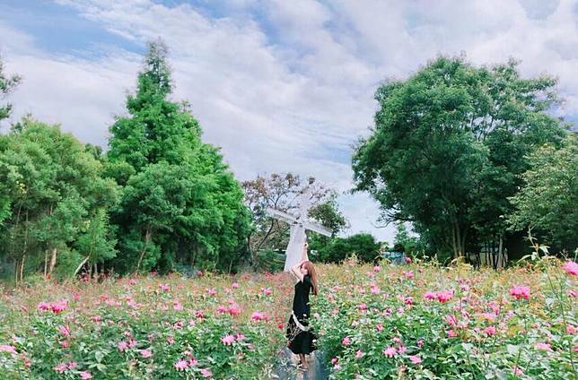 照片來源：IG @153.shanshan