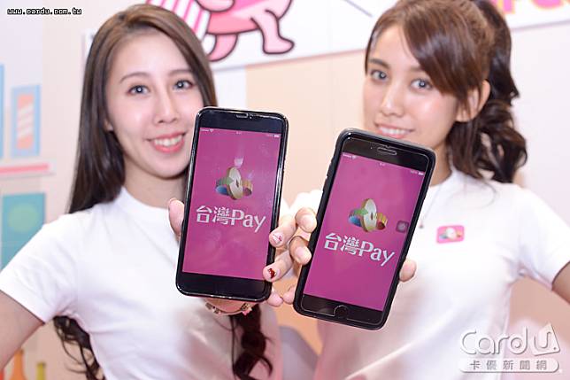 端午買粽、送禮，連假出遊購物，使用「台灣Pay」最高送20%(圖/卡優新聞網)