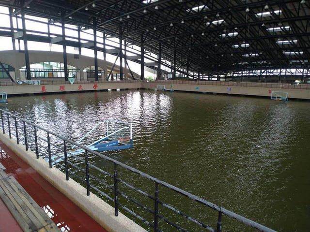 ▲台南真理大學麻豆校區籃球場被水灌滿，宛如一座「游泳池」，許多網友看後都驚呆，直呼「以為是釣蝦場」。（圖／翻攝自PTT）