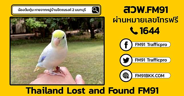 ​ตามหา น้องต้มตุ๋น หลุดหายจากบ้านซอยนิ่มทิม บางกรวย นนทบุรี พบเห็นโปรดแจ้งกลับ