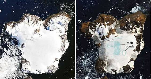 熱浪侵襲！南極洲高溫破紀錄　短短9天融化20％積雪