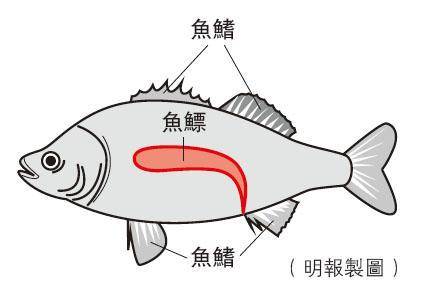 （明報製圖）