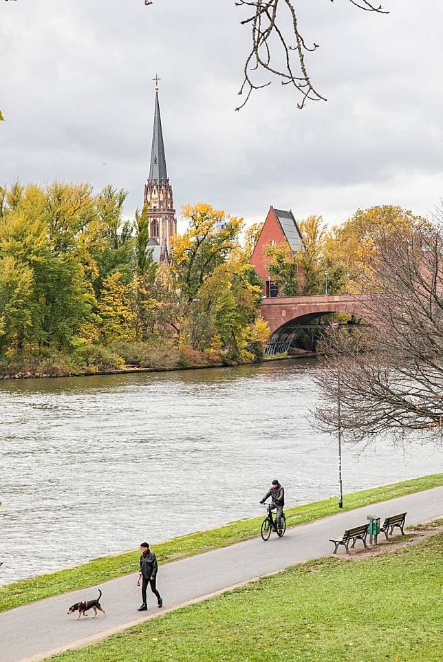 This photo taken on Nov. 8, 2023 shows autumn scenery along the river Main in Frankfurt, Germany. (Xinhua/Zhang Fan)