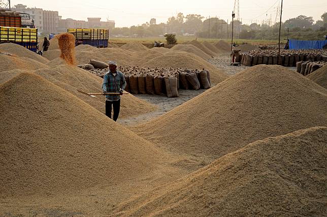 INDIA-ECONOMY-AGRICULTURE