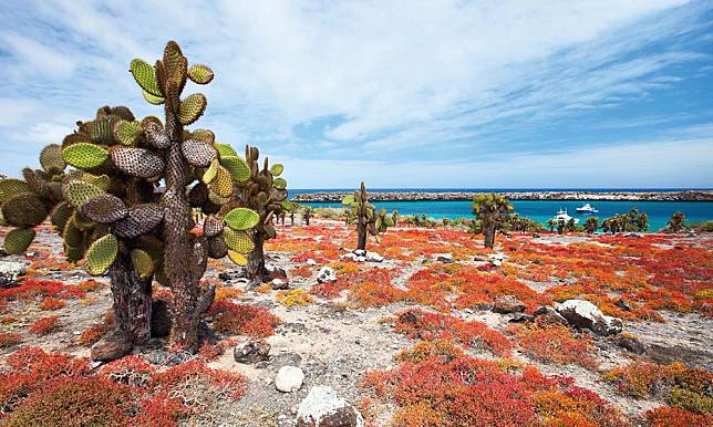 【精彩封面故事】厄瓜多‧ 加拉巴哥群島Galapagos Islands｜上帝的生態園