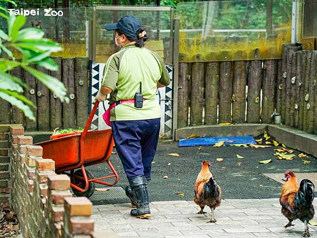 圖/台北市立動物園提供