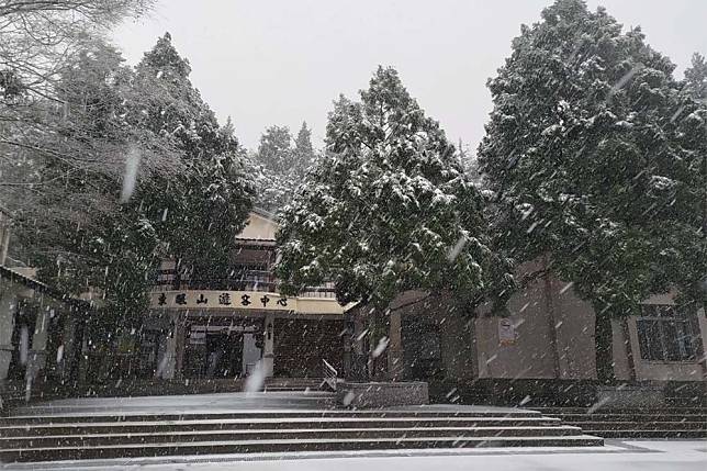 東眼山國家森林遊樂區，時隔8年後再次出現雪景，不過現場僅開放加掛雪鏈車輛進入。（林業保育署新竹分署提供）