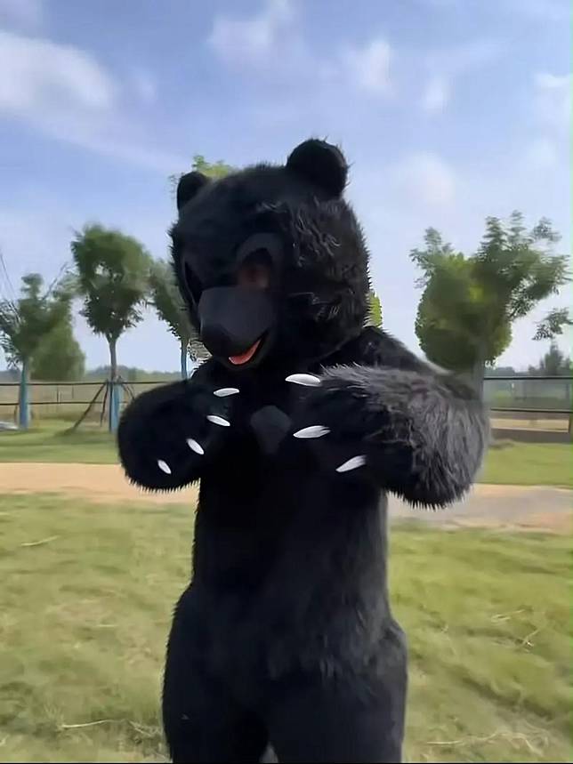    ▲中國動物園招人扮黑熊年薪44萬台幣！唯一要求嚴禁說人話（圖／截自河南漯河野生動物園官網）  