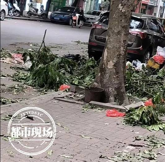 廣西南寧街頭滿是垃圾如「颱風過境」。（圖／翻攝都市現場）