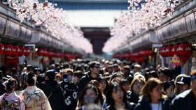 2025年3月10日，日本東京淺草寺前，仲見世商店街的櫻花與觀光人潮。路透社