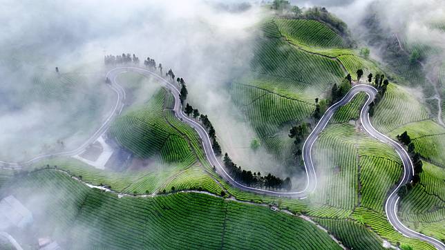 An aerial drone photo taken on April 18, 2024 shows the view of tea gardens in Zouma Town of Hefeng County, central China's Hubei Province. The county of Hefeng has made efforts in the coordinated development of tea planting and tourism industries to boost rural revitalization. (Photo by Chen Mingbin/Xinhua)