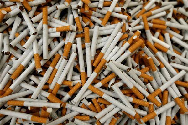 加拿大政府擬在每一根香菸上加註警語，圖為示意。（圖片來源／路透社）