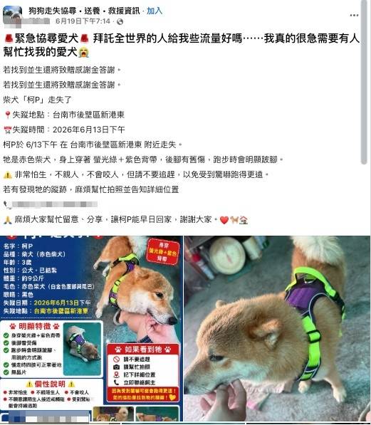 「柯P走失了」家人PO協尋啟事！最後身影流出…網急喊：快幫忙
