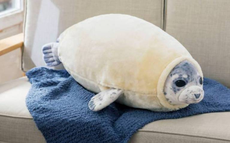 牛奶海豹 一比一還原！日本推出「換毛期炸蝦小海豹」抱枕| Styletc TW