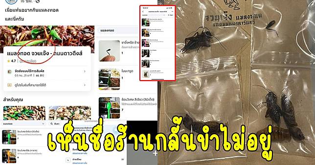 หนุ่มสั่งแมลงทอดผ่านแอปฯ ให้แฟนกิน พอเห็นชื่อร้าน กลั้นขำไม่อยู่