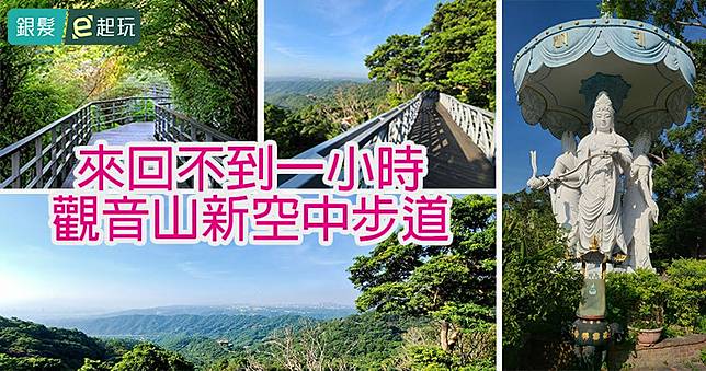 敬老卡坐捷運｜林梢步道：免跑深山！天空步道輕鬆就能翱翔森林間，適合推車/長輩/登山新手