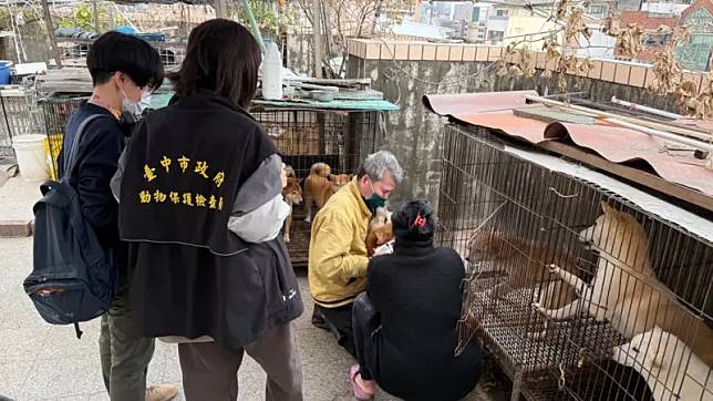 捏一下狗奶頭秒破案！大樓租戶豪養80名犬　台中鬧區頂樓淪繁殖場