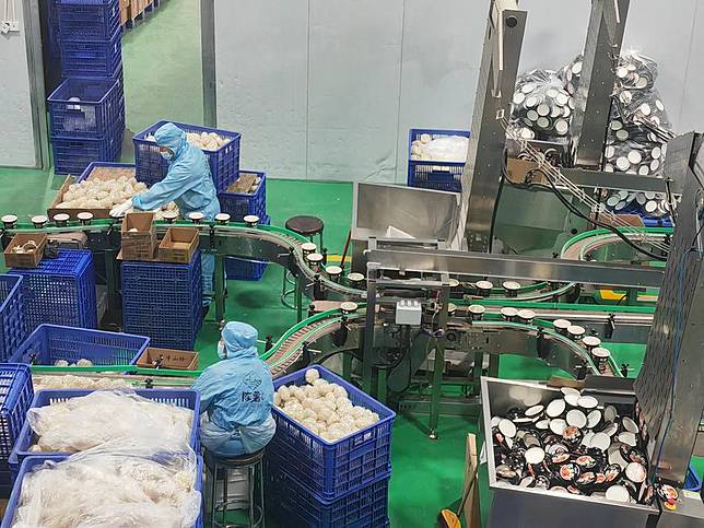 Workers pack sweet potato noodles at a production line of a rural food factory in Sinan County, southwest China's Guizhou Province, Feb. 11, 2025. (Xinhua/Xiang Dingjie)