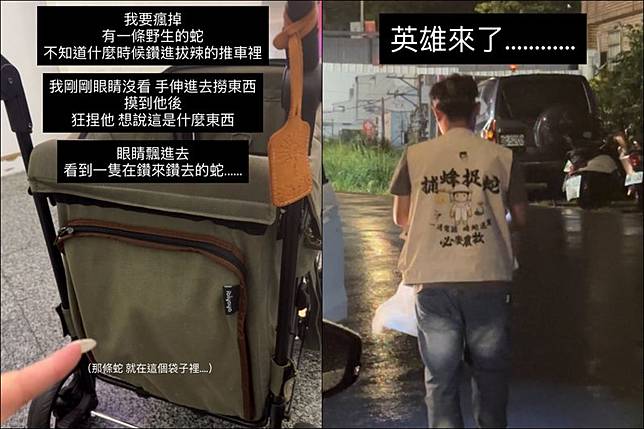 一名網友在寵物推車裡摸到一條蛇。圖／翻攝自Threads／as1471471