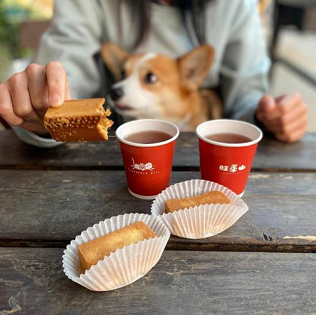 照片來源：IG ＠niki_22222222