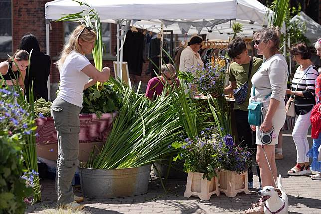 People visit the Midsummer festival Ligo market in Riga, Latvia, on June 21, 2024. (Photo by Edijs Palens/Xinhua)